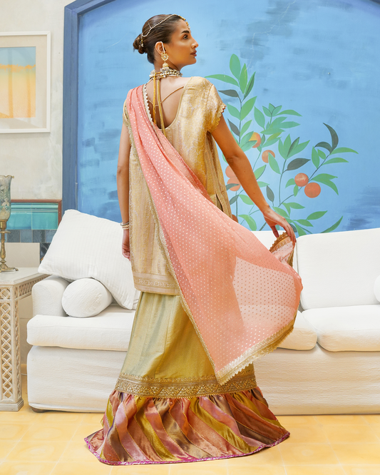 Shadi Coral Dupatta